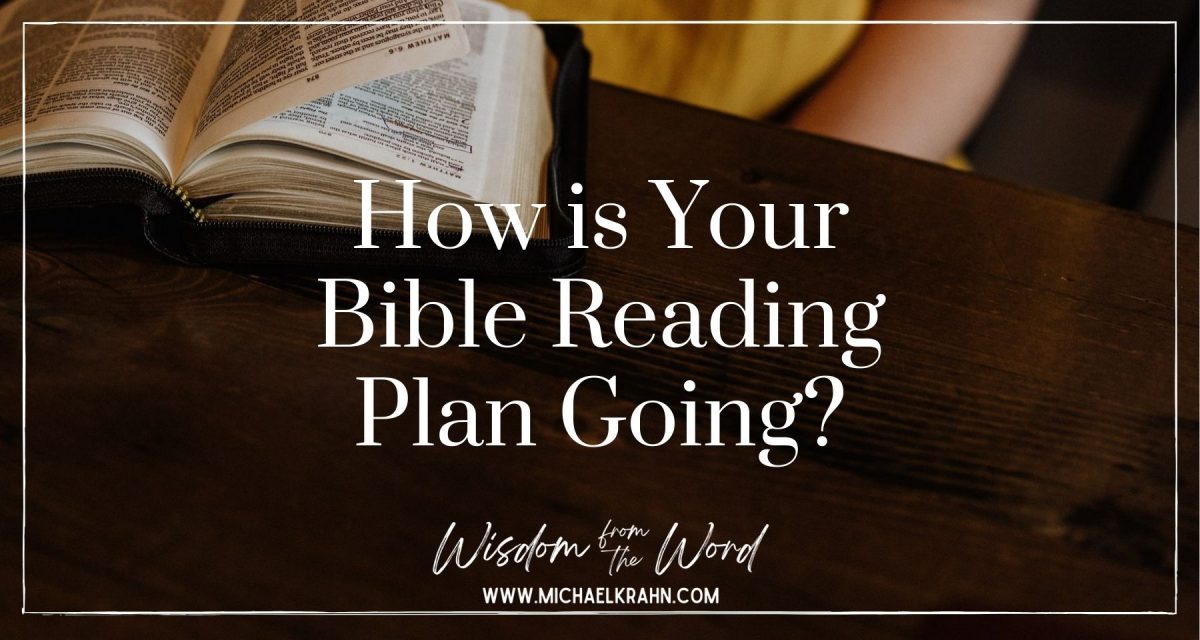 How is Your Bible Reading Plan Going?