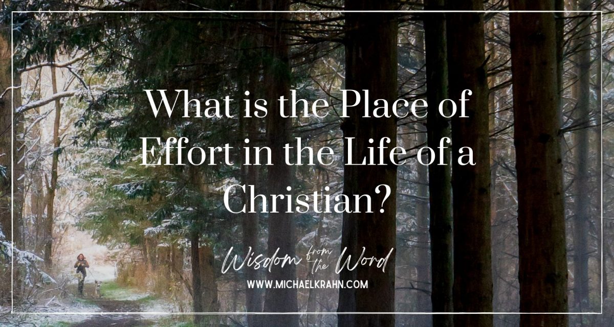What is the Place of Effort in the Life of a Christian?