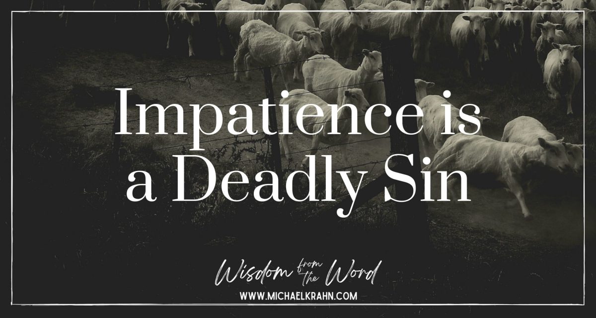 impatience-is-a-deadly-sin-michael-krahn