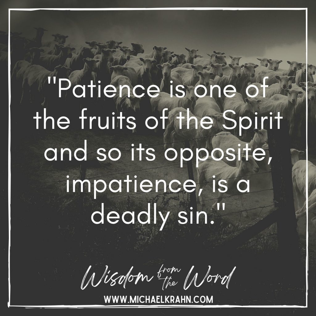 Impatience is a Deadly Sin Michael Krahn
