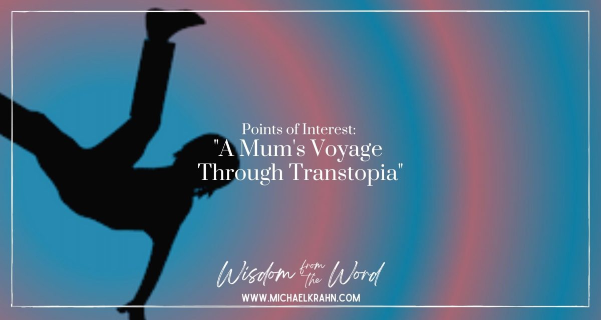 Points of Interest: “A Mum’s Voyage Through Transtopia”